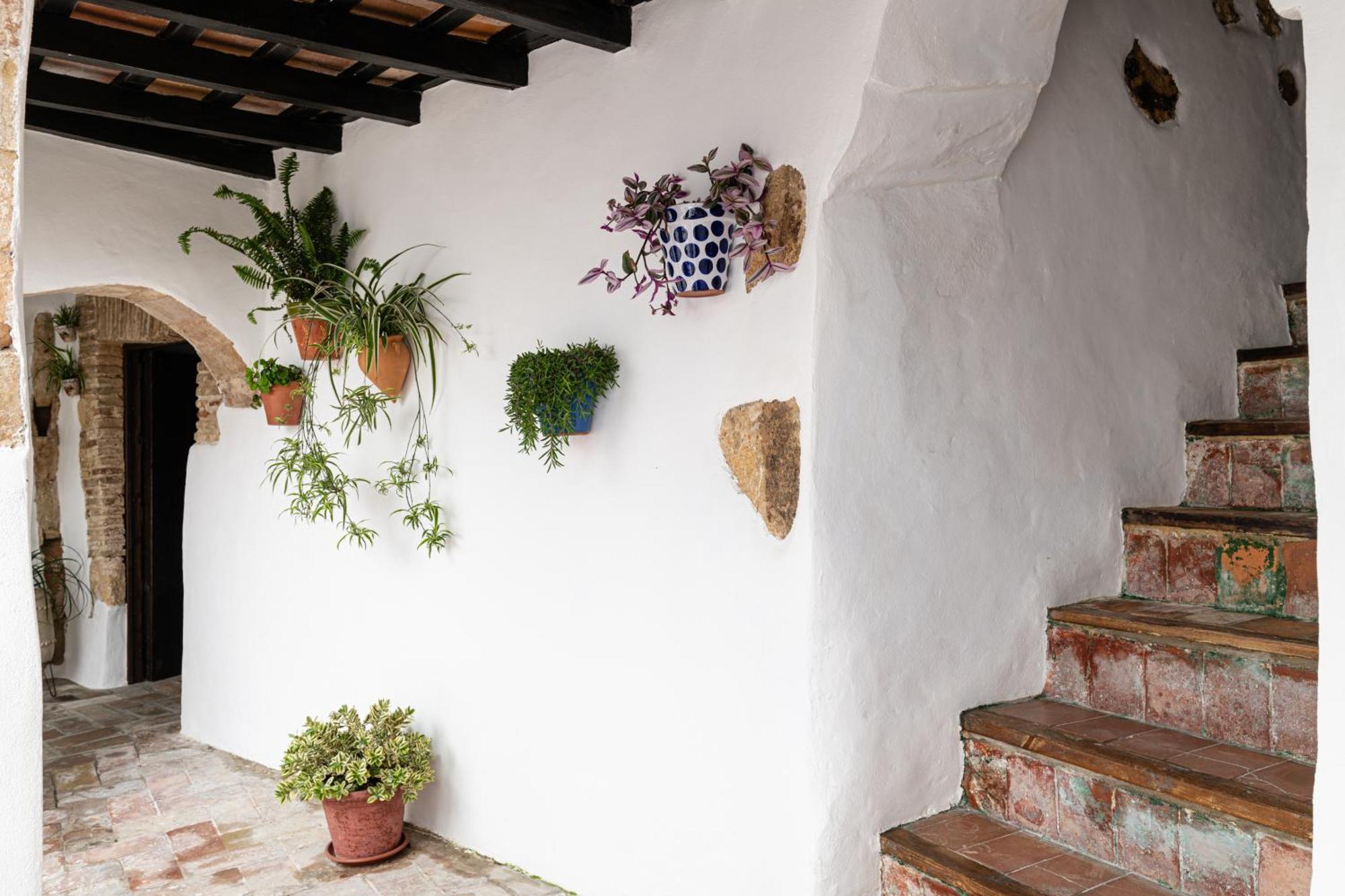 Casa Lunarito Vejer de la Frontera Exterior foto
